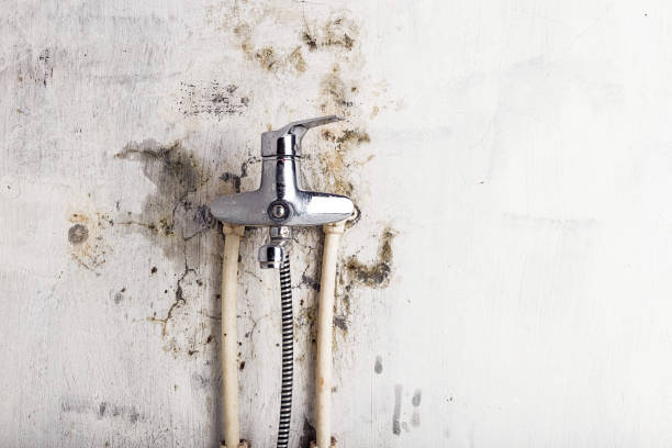 Best Mold Remediation for Specific Building Types in New Cordell, OK