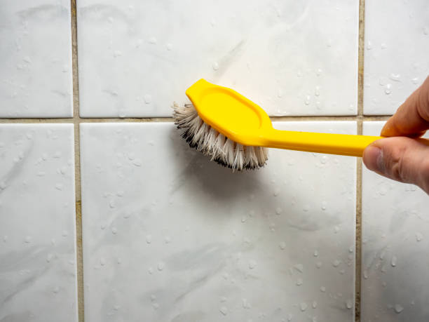 Best Post-Remediation Services in New Cordell, OK